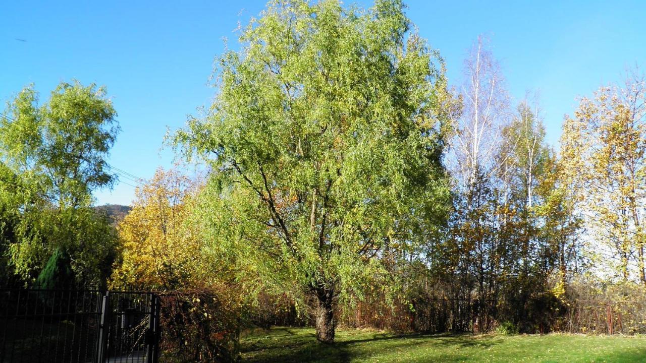 Podelniska Porabka Экстерьер фото